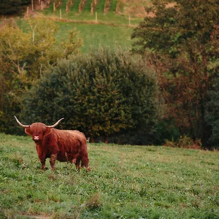 Апартаменты Ratek Ivanjkovci