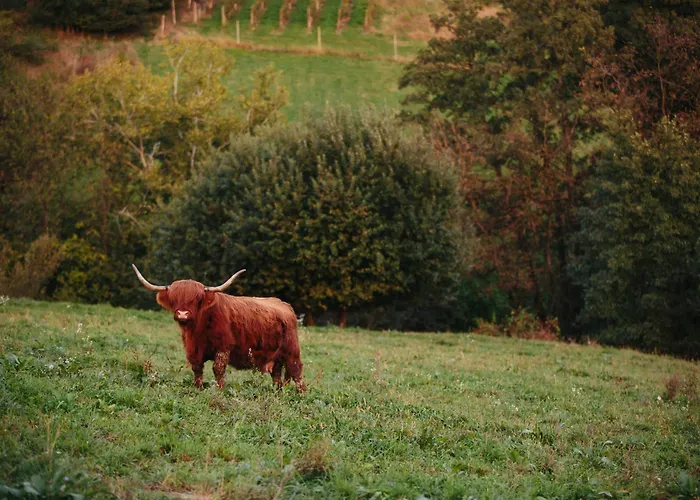 דירה Ratek Ivanjkovci